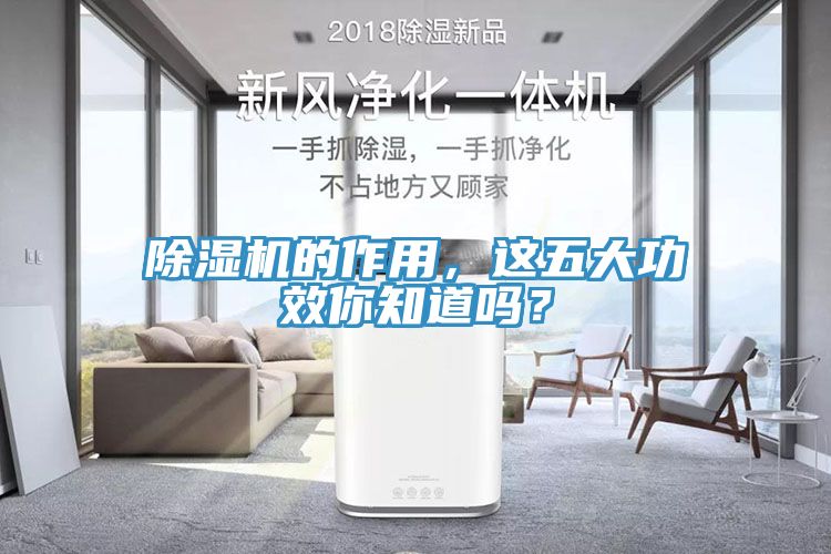 除濕機的作用，這五大功效你知道嗎？