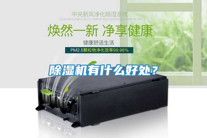 除濕機有什么好處?