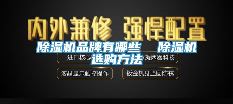 除濕機(jī)品牌有哪些 除濕機(jī)選購方法
