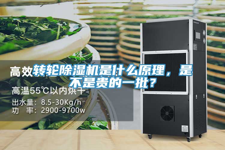 轉(zhuǎn)輪除濕機(jī)是什么原理，是不是貴的一批？