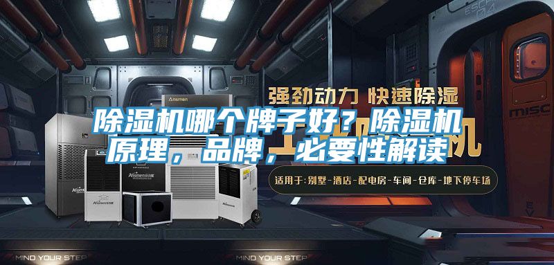 除濕機哪個牌子好？除濕機原理，品牌，必要性解讀