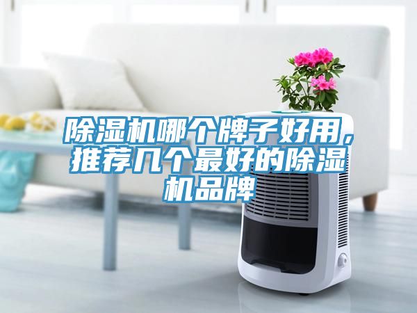 除濕機哪個牌子好用，推薦幾個最好的除濕機品牌