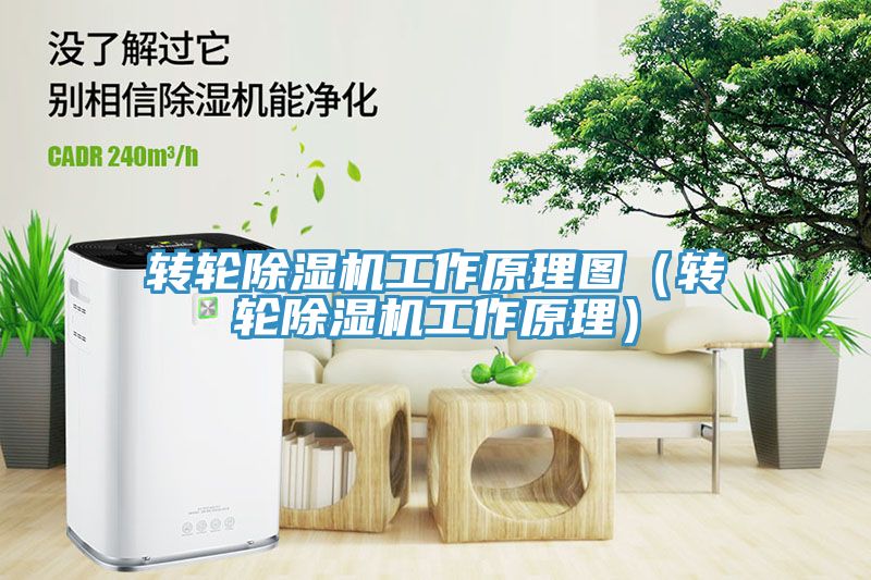 轉輪除濕機工作原理圖(轉輪除濕機工作原理)