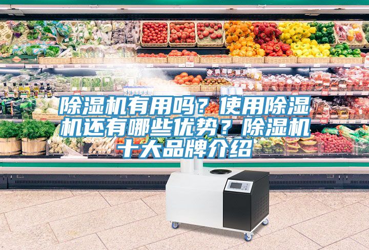 除濕機有用嗎？使用除濕機還有哪些優(yōu)勢？除濕機十大品牌介紹