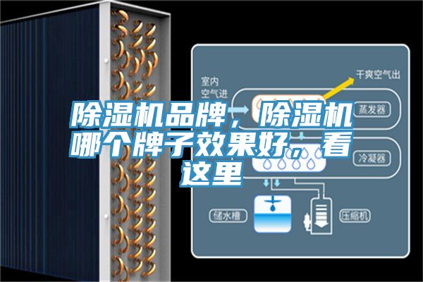 除濕機(jī)品牌,除濕機(jī)哪個(gè)牌子效果好,看這里