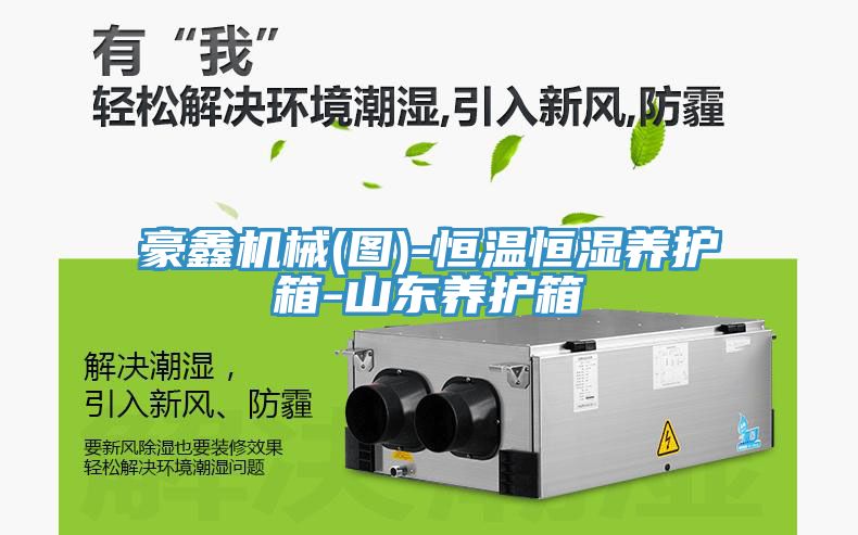 豪鑫機械(圖)-恒溫恒濕養(yǎng)護箱-山東養(yǎng)護箱
