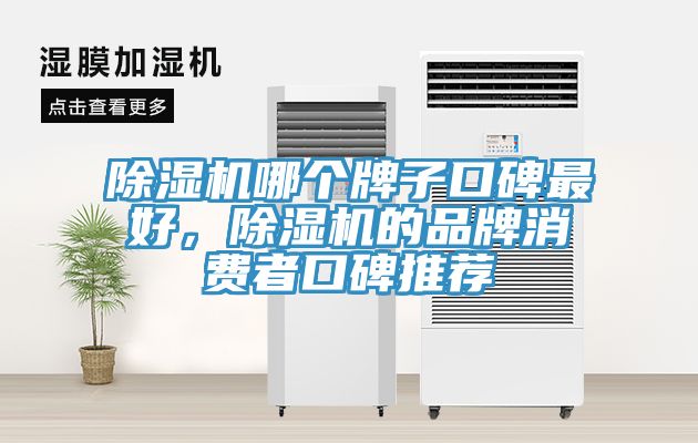 除濕機(jī)哪個(gè)牌子口碑最好,除濕機(jī)的品牌消費(fèi)者口碑推薦