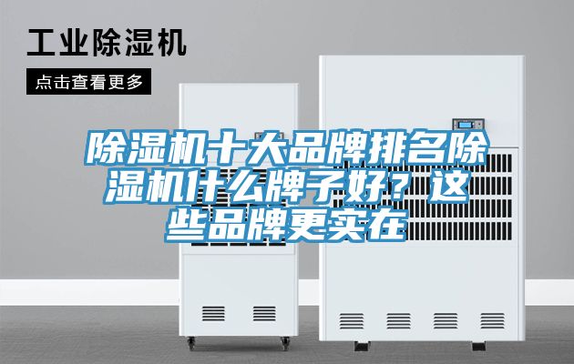 除濕機十大品牌排名除濕機什么牌子好？這些品牌更實在