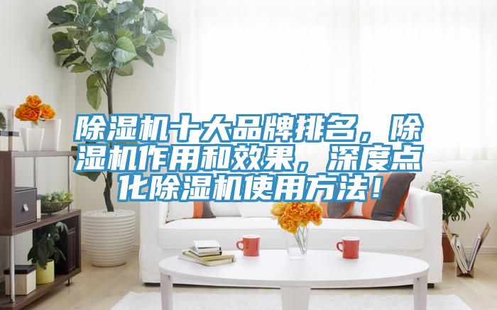 除濕機十大品牌排名，除濕機作用和效果，深度點化除濕機使用方法！