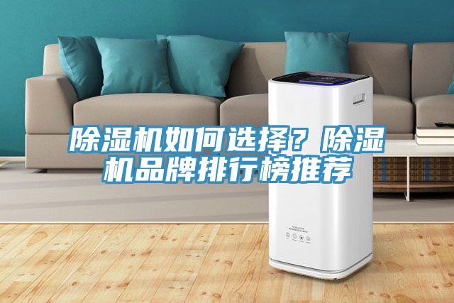 除濕機如何選擇？除濕機品牌排行榜推薦
