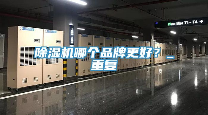 除濕機(jī)哪個(gè)品牌更好?_重復(fù)