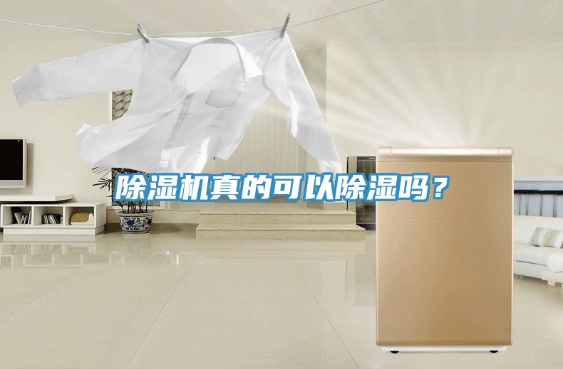 除濕機真的可以除濕嗎?