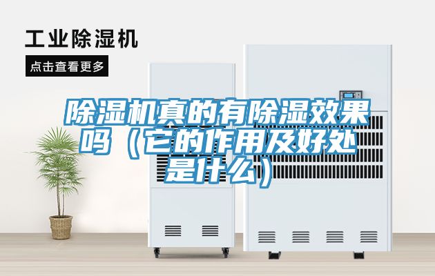 除濕機真的有除濕效果嗎(它的作用及好處是什么)