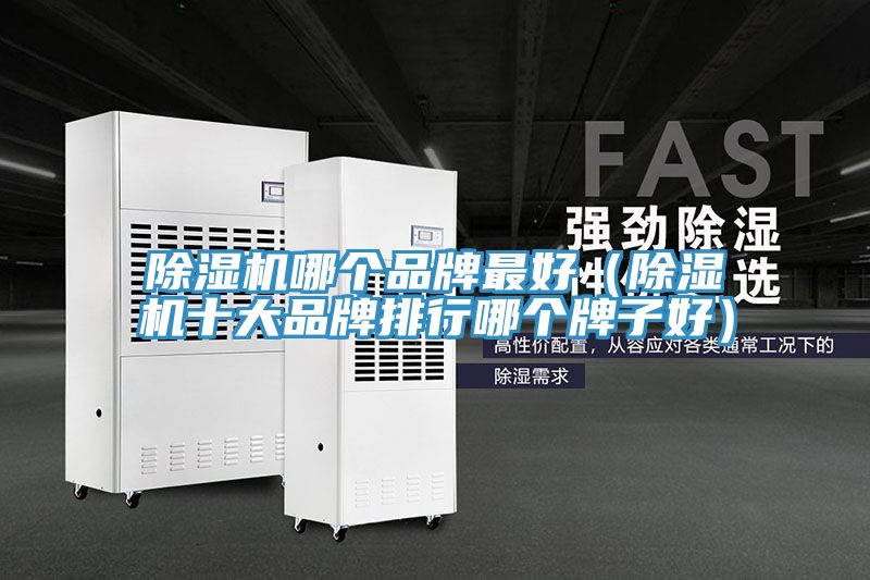 除濕機(jī)哪個(gè)品牌最好(除濕機(jī)十大品牌排行哪個(gè)牌子好)