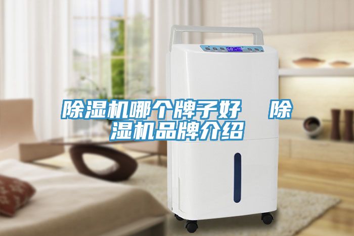 除濕機(jī)哪個(gè)牌子好 除濕機(jī)品牌介紹