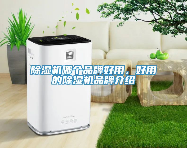 除濕機哪個品牌好用,好用的除濕機品牌介紹