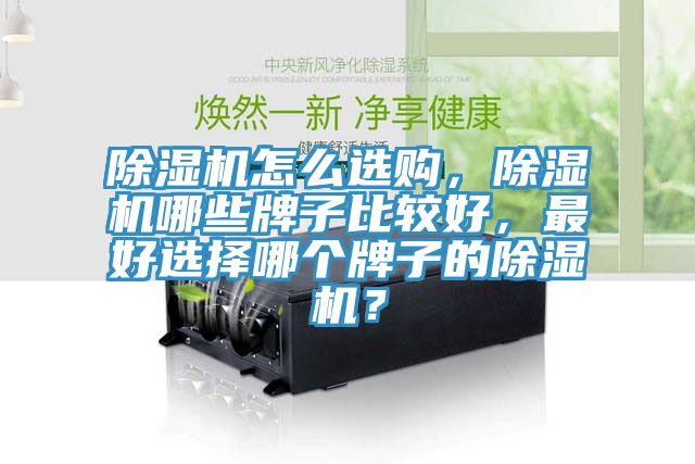 除濕機怎么選購，除濕機哪些牌子比較好，最好選擇哪個牌子的除濕機？