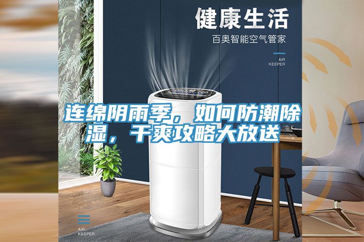 連綿陰雨季，如何防潮除濕，干爽攻略大放送