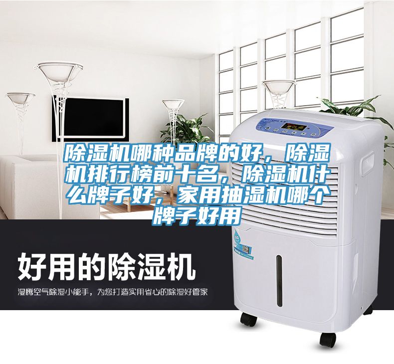 除濕機(jī)哪種品牌的好，除濕機(jī)排行榜前十名，除濕機(jī)什么牌子好，家用抽濕機(jī)哪個牌子好用