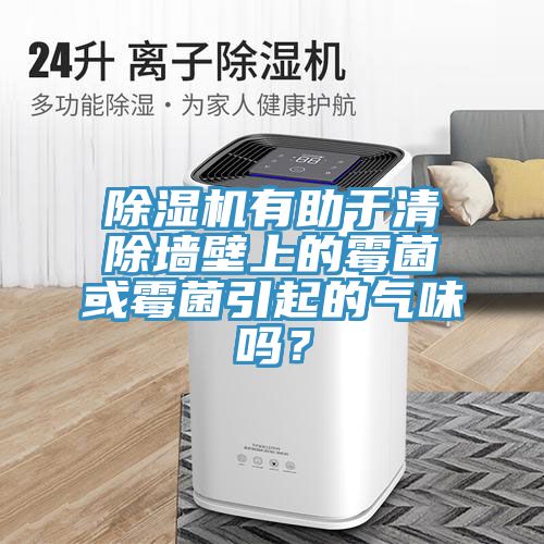 除濕機有助于清除墻壁上的霉菌或霉菌引起的氣味嗎?