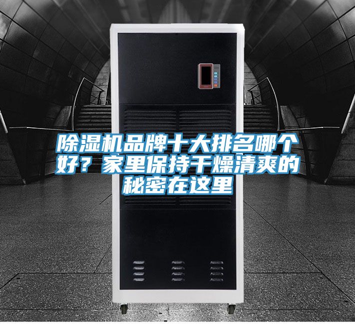 除濕機品牌十大排名哪個好？家里保持干燥清爽的秘密在這里