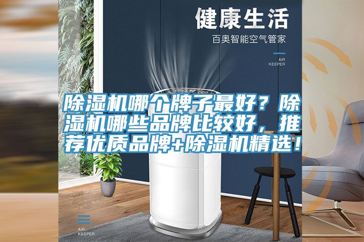 除濕機哪個牌子最好？除濕機哪些品牌比較好，推薦優質品牌+除濕機精選！