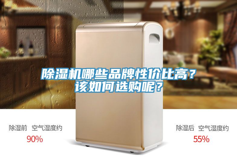 除濕機哪些品牌性價比高？該如何選購呢？