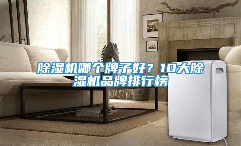 除濕機哪個牌子好？10大除濕機品牌排行榜