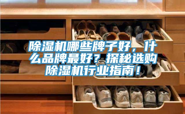 除濕機(jī)哪些牌子好，什么品牌最好？探秘選購除濕機(jī)行業(yè)指南！