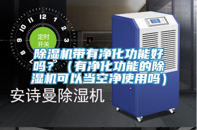 除濕機帶有凈化功能好嗎？（有凈化功能的除濕機可以當空凈使用嗎）