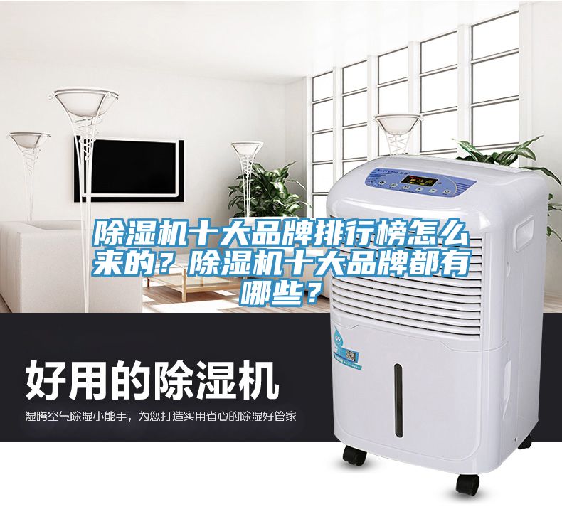 除濕機十大品牌排行榜怎么來的？除濕機十大品牌都有哪些？