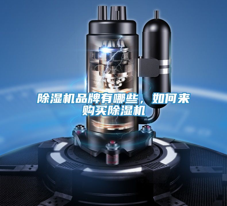 除濕機(jī)品牌有哪些,如何來購買除濕機(jī)