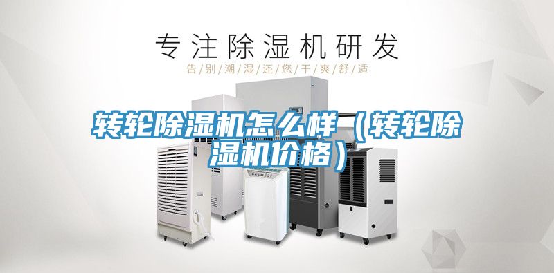 轉(zhuǎn)輪除濕機(jī)怎么樣(轉(zhuǎn)輪除濕機(jī)價(jià)格)