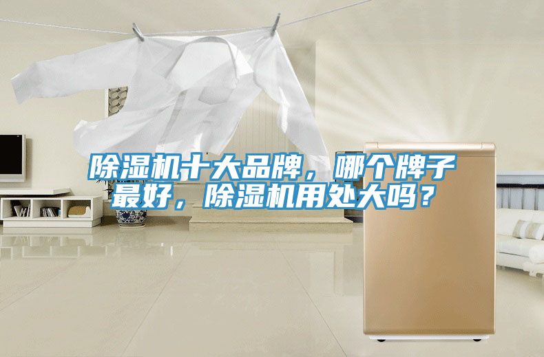 除濕機(jī)十大品牌，哪個牌子最好，除濕機(jī)用處大嗎？