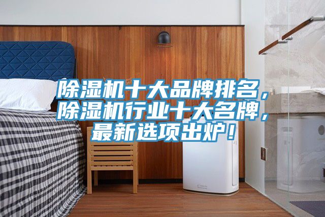 除濕機十大品牌排名，除濕機行業十大名牌，最新選項出爐！