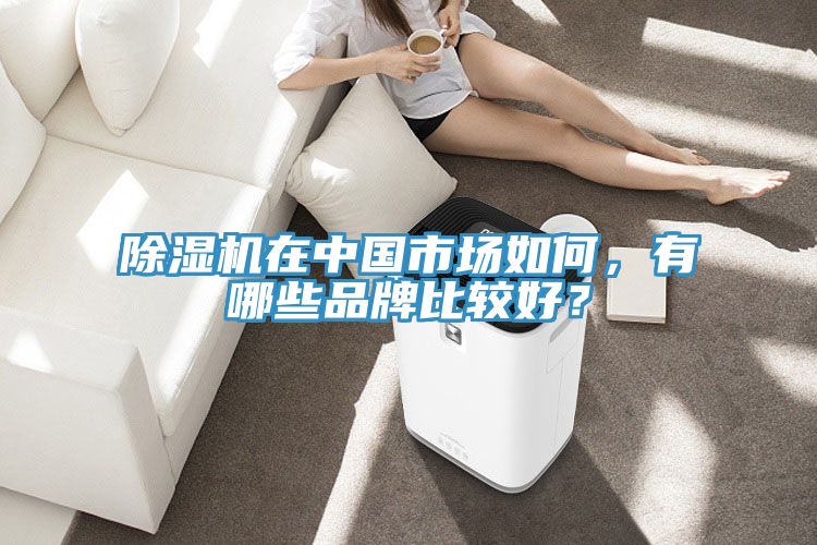 除濕機(jī)在中國市場如何，有哪些品牌比較好？