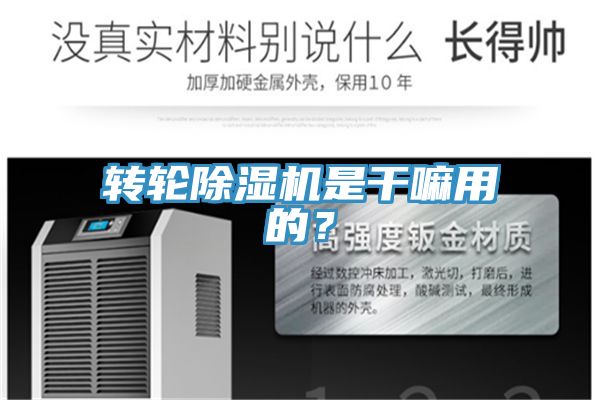 轉(zhuǎn)輪除濕機(jī)是干嘛用的？