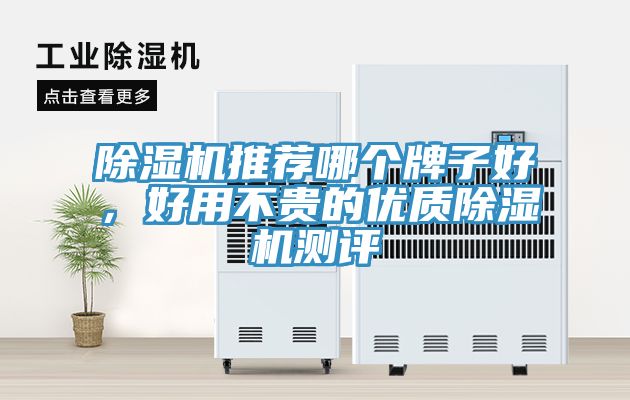 除濕機推薦哪個牌子好,好用不貴的優質除濕機測評