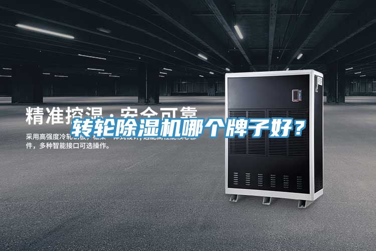 轉輪除濕機哪個牌子好？