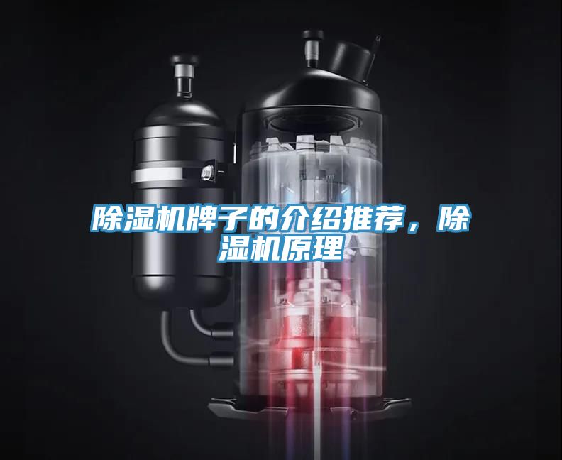 除濕機牌子的介紹推薦，除濕機原理