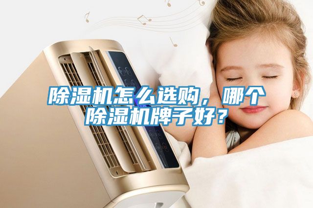 除濕機怎么選購，哪個除濕機牌子好？