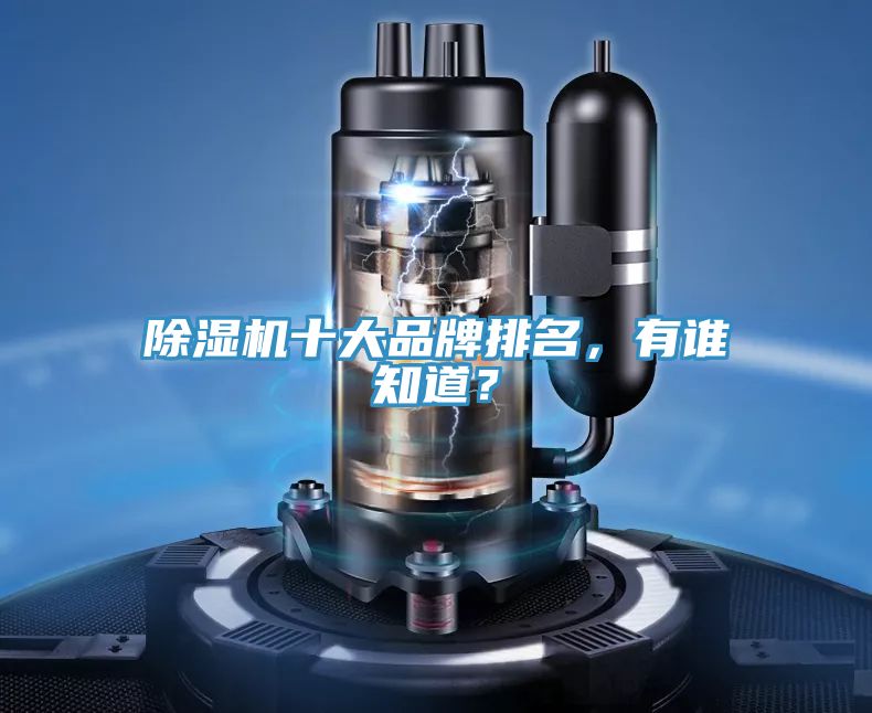 除濕機十大品牌排名，有誰知道？