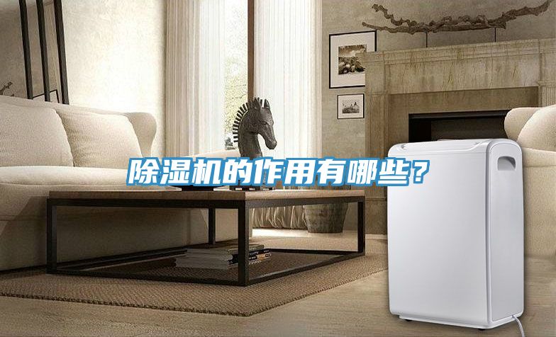除濕機的作用有哪些？
