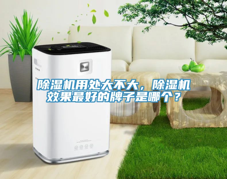 除濕機用處大不大，除濕機效果最好的牌子是哪個？