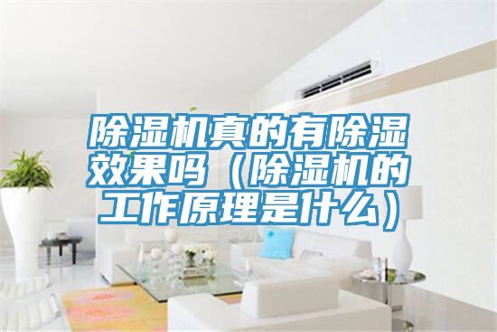 除濕機真的有除濕效果嗎(除濕機的工作原理是什么)