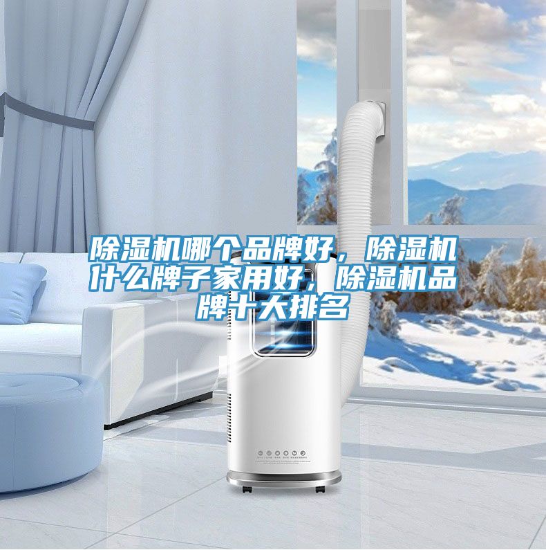 除濕機(jī)哪個(gè)品牌好,除濕機(jī)什么牌子家用好,除濕機(jī)品牌十大排名
