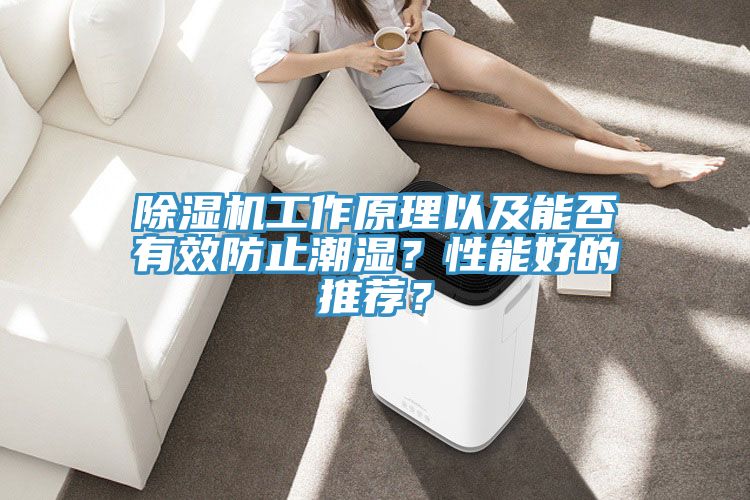 除濕機工作原理以及能否有效防止潮濕？性能好的推薦？