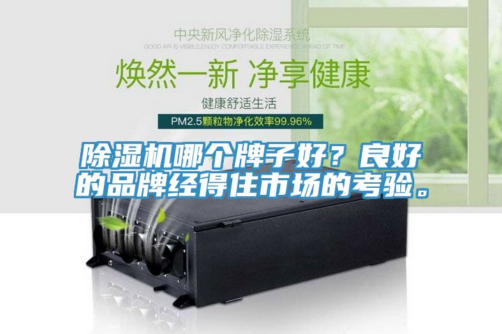 除濕機哪個牌子好？良好的品牌經得住市場的考驗。