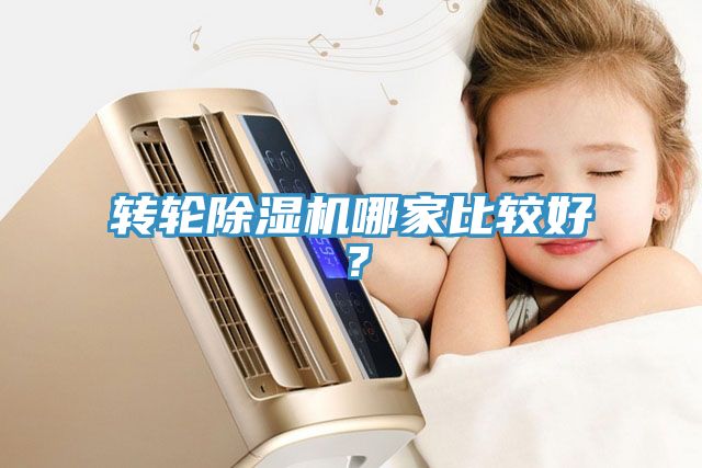 轉輪除濕機哪家比較好？