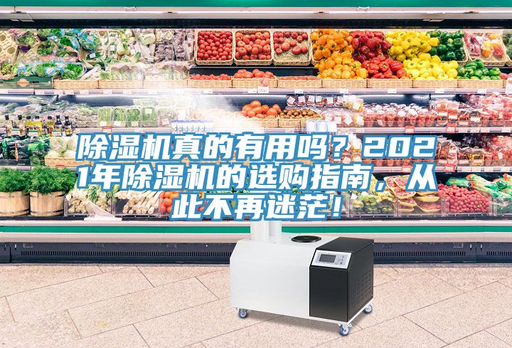 除濕機真的有用嗎?2021年除濕機的選購指南,從此不再迷茫!